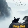 FengShui Consultation Service（One field）