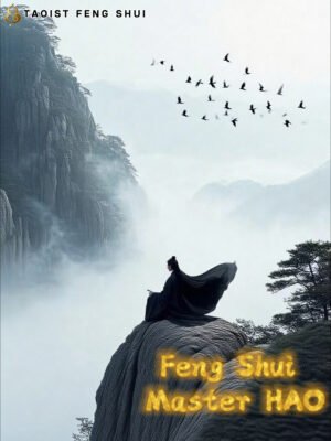 FengShui Consultation Service（One field）