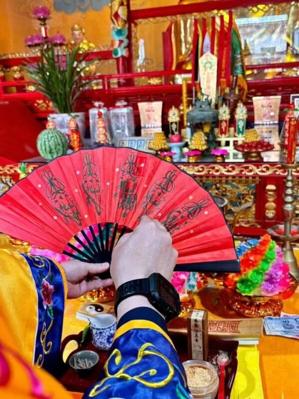 9f96dbc96c374ff7bcb984e0293d8bf1 A fan full of magical power